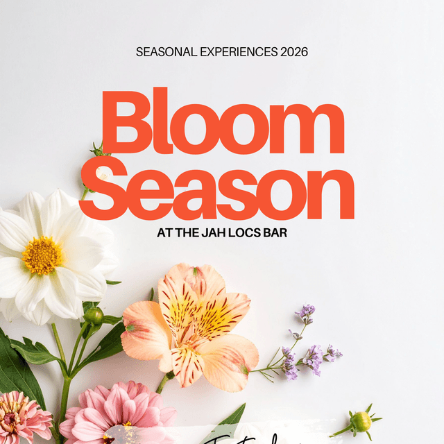 The Loc Journey Starter Package at The Jah Locs Bar in Atlanta, GA