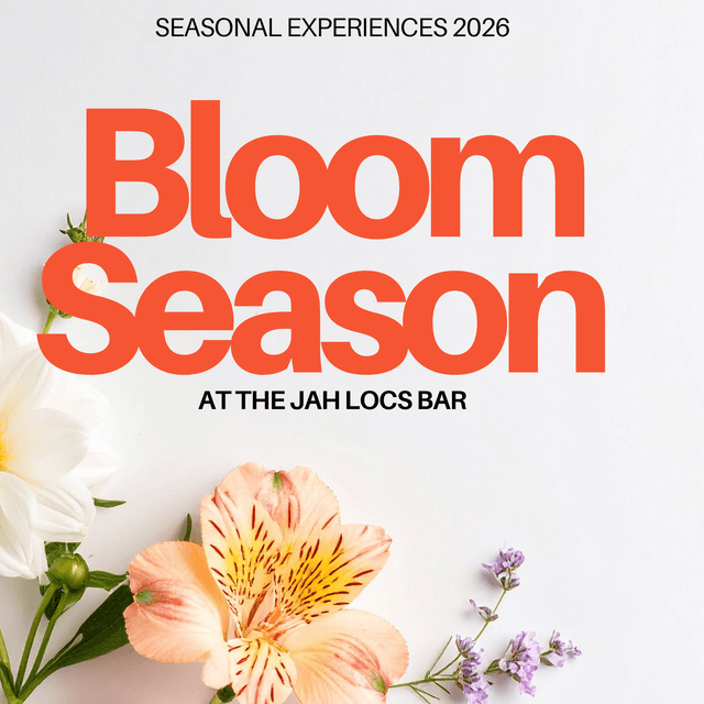 Spring Crown Reset at The Jah Locs Bar in Atlanta, GA